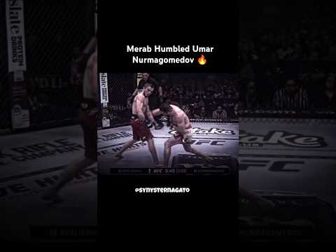 Merab Dvalishvili vs Umar Nurmagomedov UFC 311 #merabdvalishvili #umarnurmagomedov