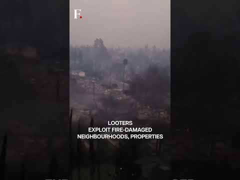 California Wildfires Kill 10, Looters Raid Homes Gutted By Fire