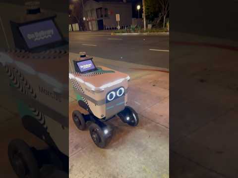 PUNKING MARCUS: Bullying Food Delivery Robots is Actually Good #ai #automation #robotics #funny