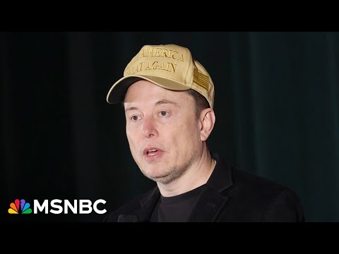 Elon Musk ‘melts down’ after underestimating wrath of MAGA trolls