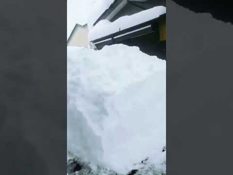 everything is buried in snow#horrible snow storm#japan#shorts