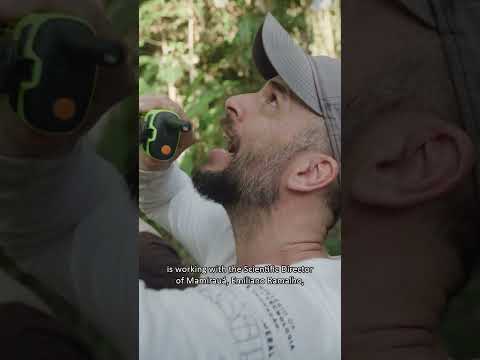 Rolex Perpetual Planet Initiative Presents – Mamirauá Reserve