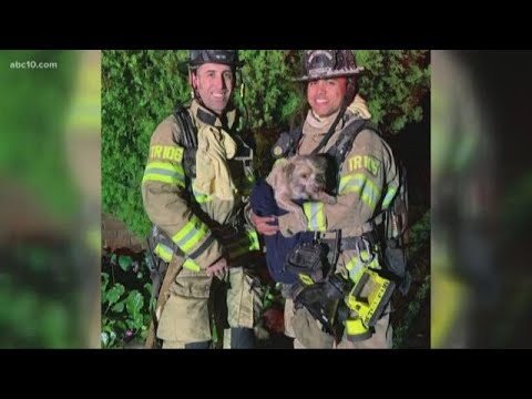 Firefighters describe tense rescue of Carmichael pup