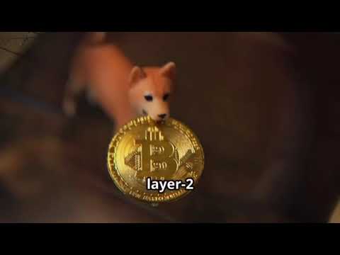 Shiba Inu’s price plunge: what’s happening?