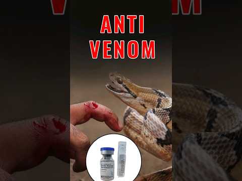 Antivenom Medicine for Snake Bite | Poisonous Animals #antivenom #snake #scorpions