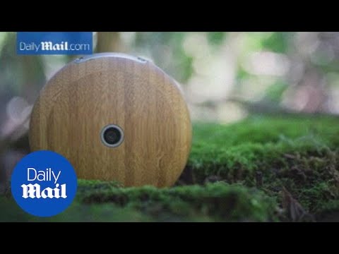 Runcible: An anti-smart phone that looks like a pocket watch - Daily Mail