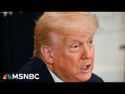 &#039;His superpower is his shamelessness&#039;: A look at Trump&#039;s crypto dinner