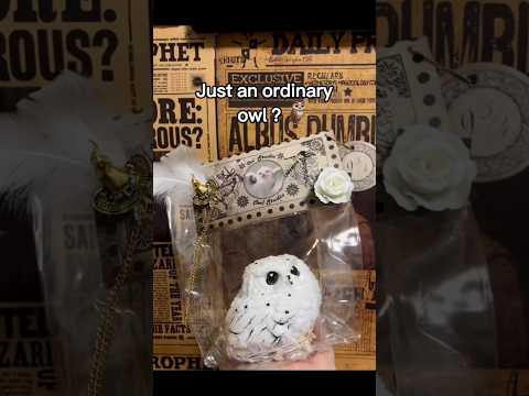 Hedwig，Magic owl #harrypotter #hedwig #hogwarts #giftidea #potterhead #wizardingworld #magic