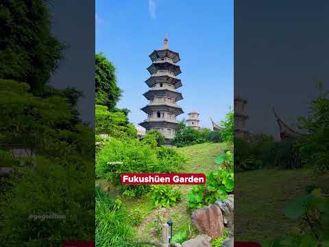 Here are 5 places to visit in Okinawa! 🌺🏝️ #shorts