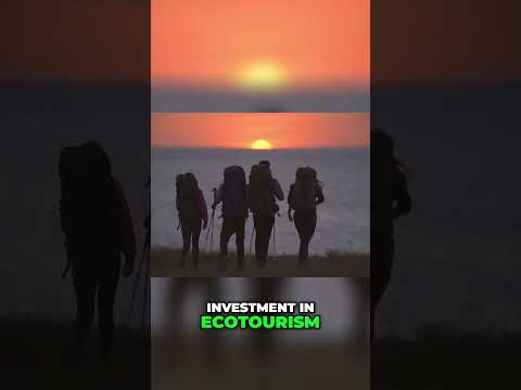 Guyana Beyond Oil: Green Energy &amp; Ecotourism Future!